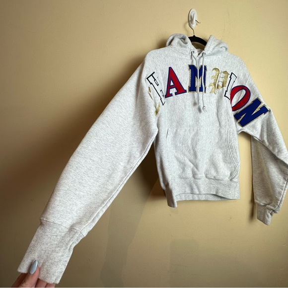 Champion Reverse Weave Old English Hoodie Pullover Sweatshirt Men’s Size Small - Picture 5 of 16